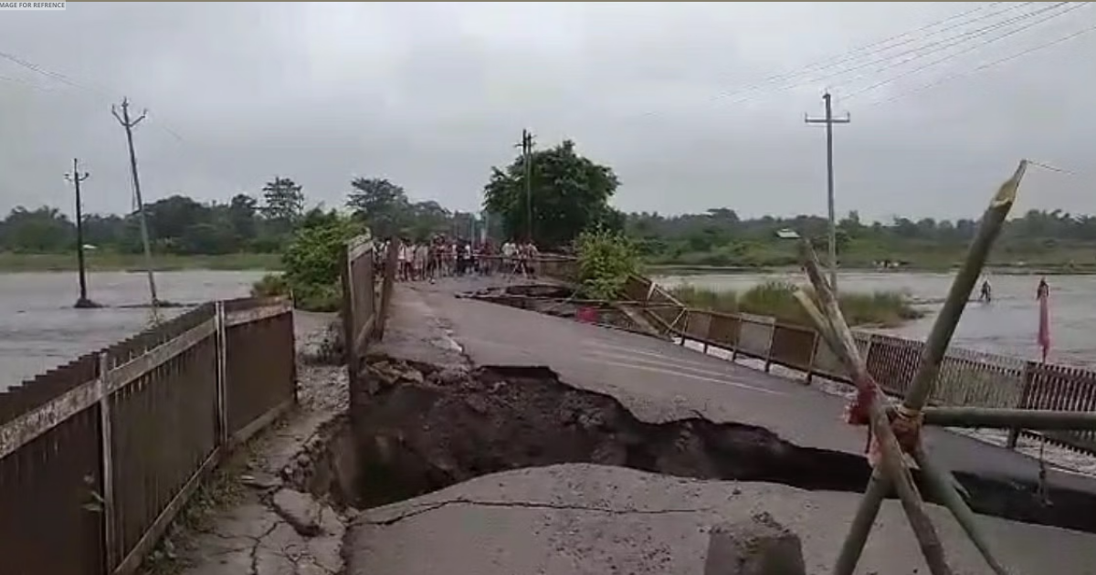 Assam: Part of bridge over Kalanadi River collapses in Tamulpur following heavy rainfall